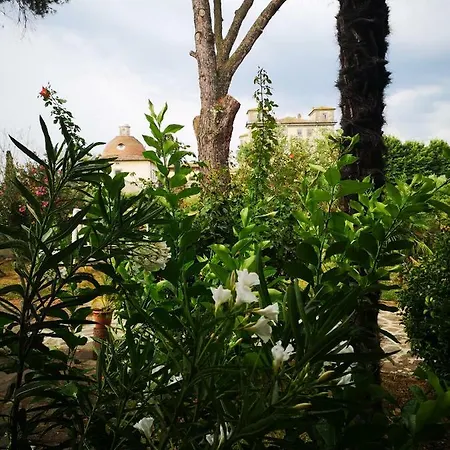 Artemisia Vila