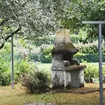 Artemisia *