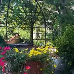 Artemisia Borgo a Buggiano