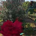 Artemisia Βίλα Borgo a Buggiano