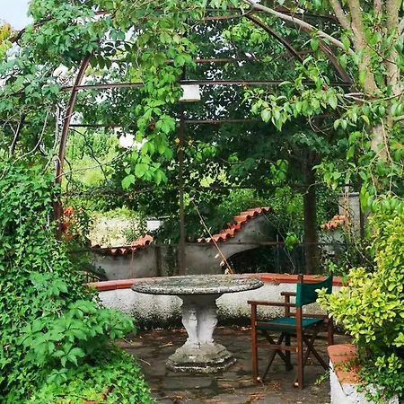 Artemisia Villa Borgo a Buggiano